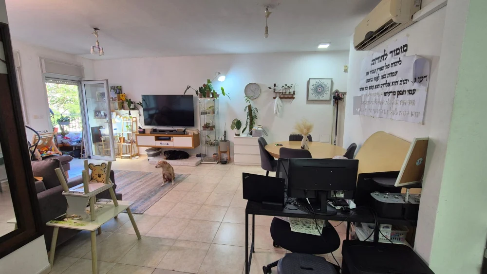 אהבה 8 — תמונה 4