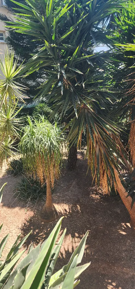 הווילה שתגרום לכם להתאהב מחדש  — תמונה 9