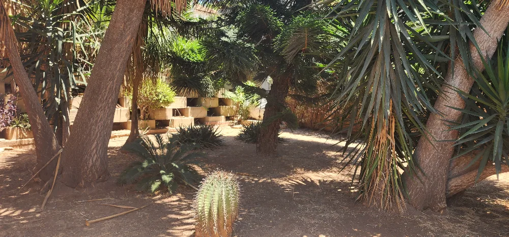 הווילה שתגרום לכם להתאהב מחדש  — תמונה 7