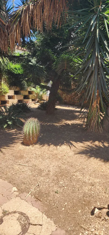 הווילה שתגרום לכם להתאהב מחדש  — תמונה 8