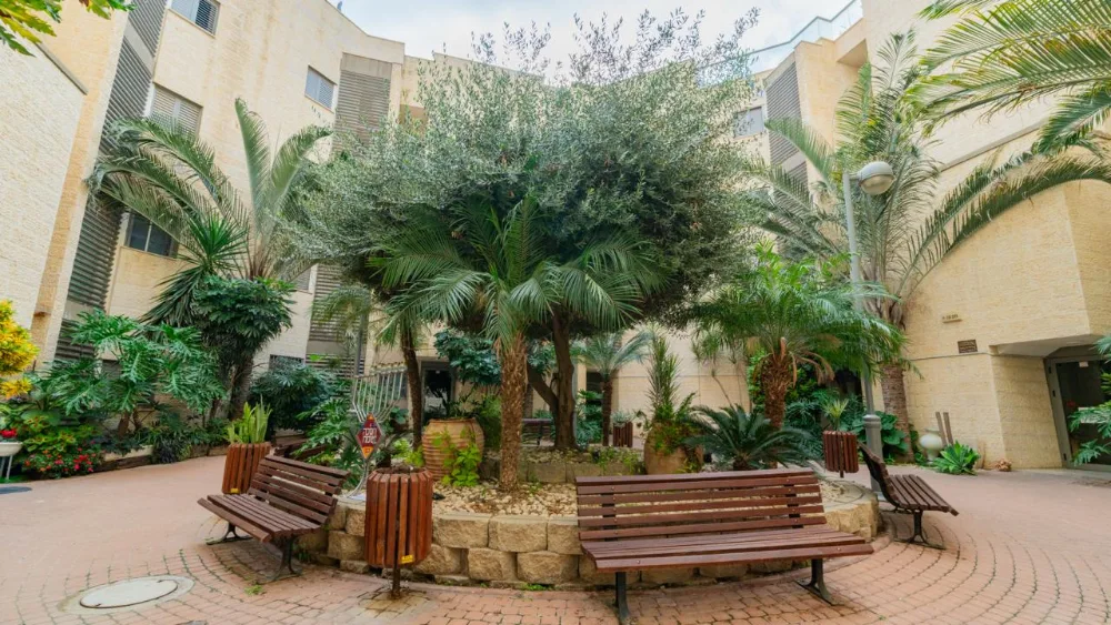 דירה מדהימה — תמונה 12